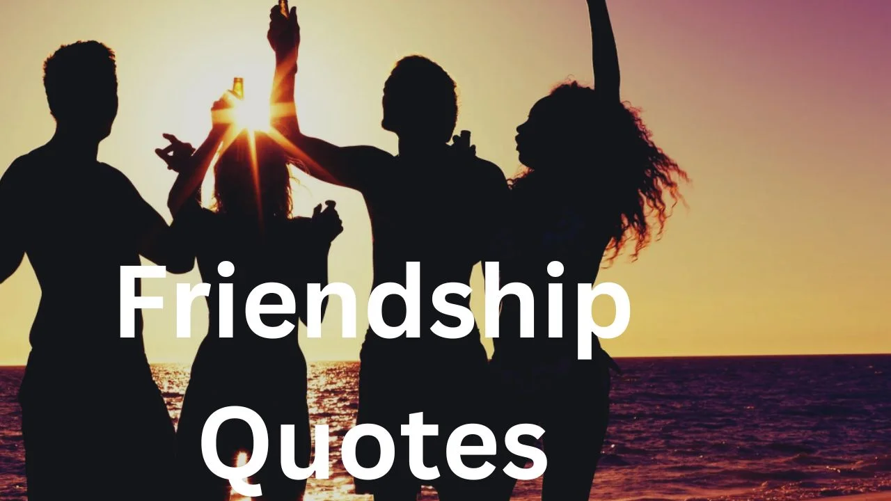 Top 3 Friendship Quotes