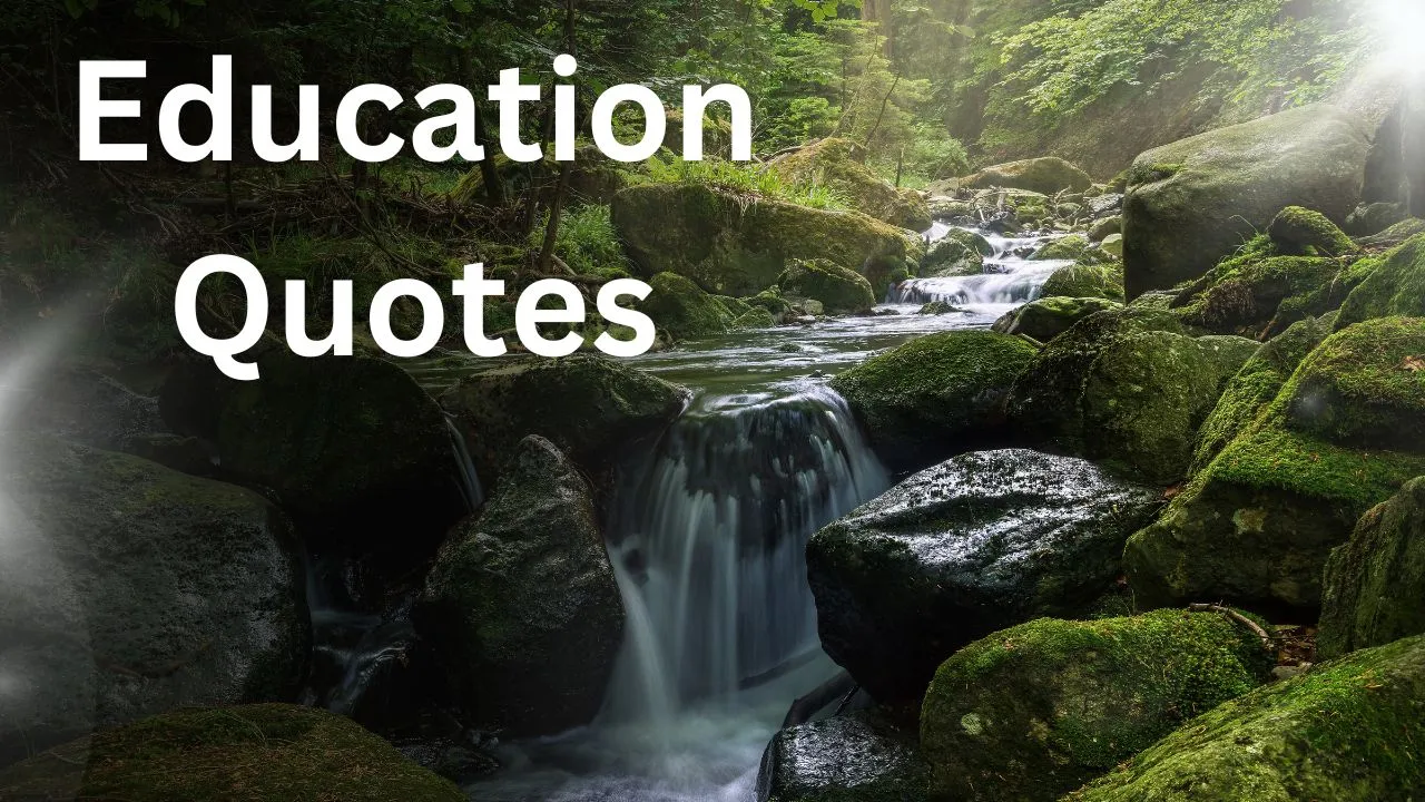 Top 3 Educational Quotes For Kids