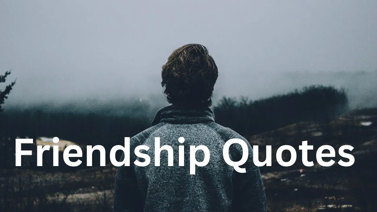 Top 40 Best Friend Quotes True Friendship