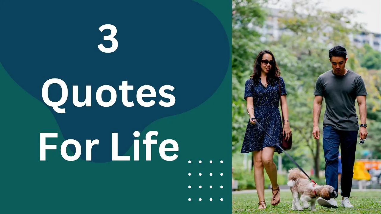 3 Quote ABout Life for Instagram 