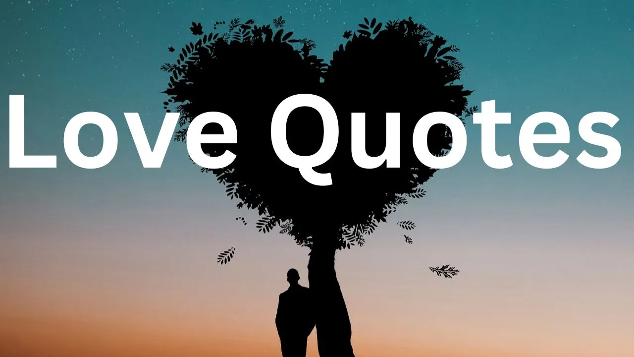 Top 42 Love Quotes For When You're Truly Love