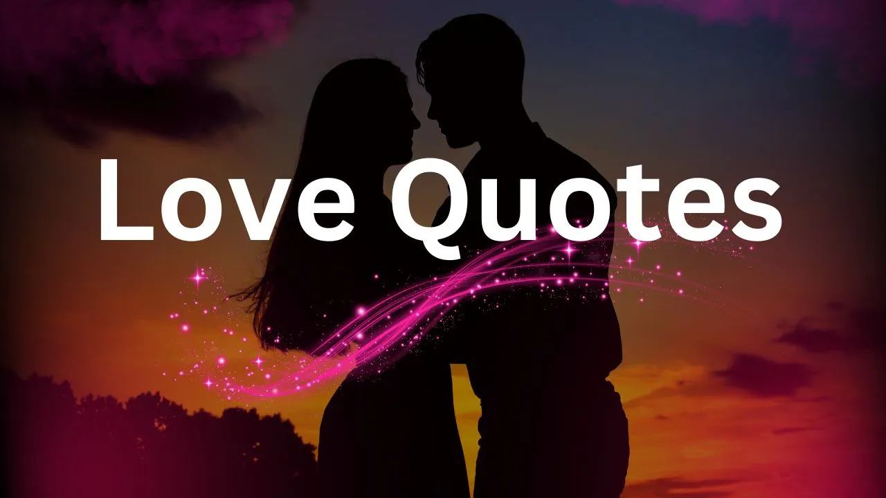 Top 29 Best Cute Love Quotes Every Day Of The Year