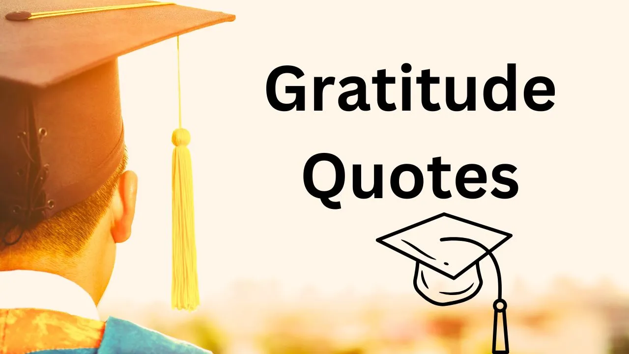 Top 10 Best Inspiring Gratitude Quotes to Bring Meaning to Every Day